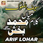 Saif ul Malook (Live)