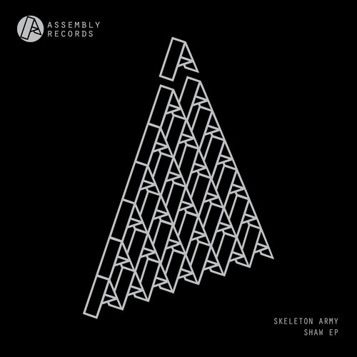 Shaw (Original Mix) cover art