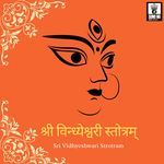 Shri Vidheshwari Strotra