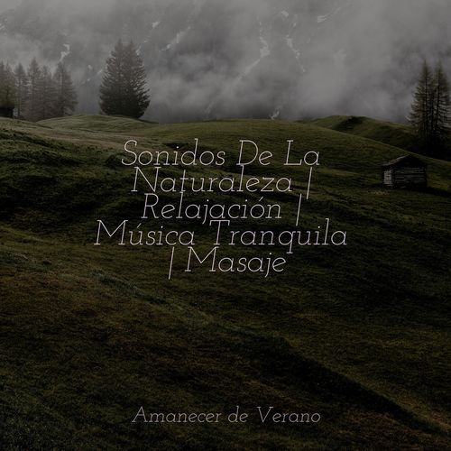 Armonioso Nexo cover art