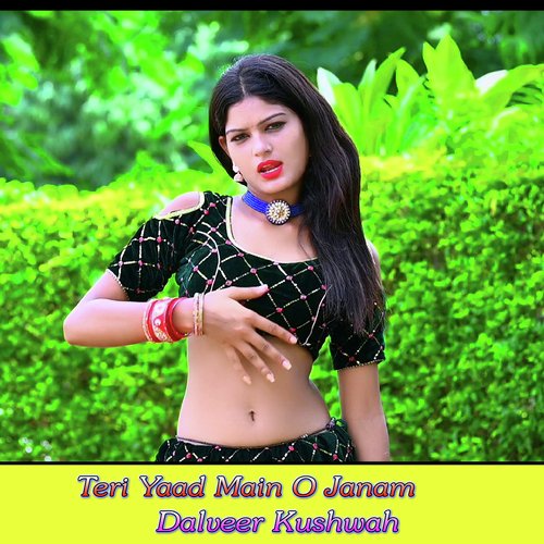 Teri Yaad Main O Janam