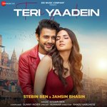 Teri Yaadein