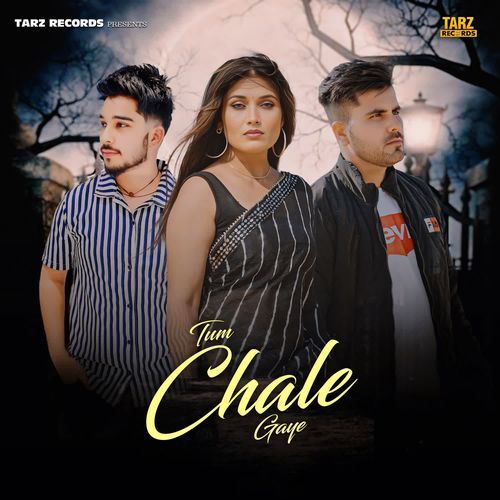 Tum Chale Gaye