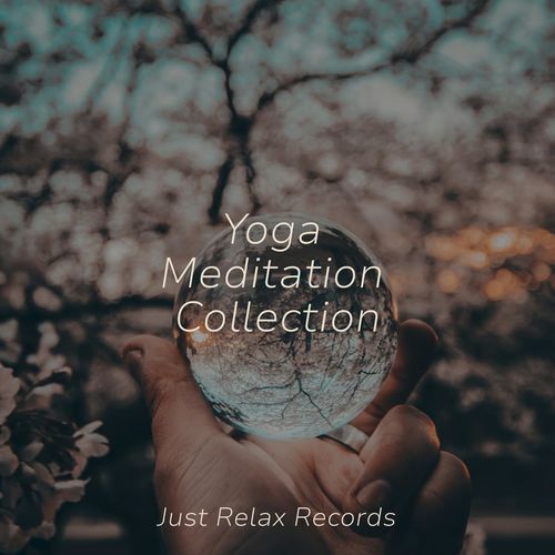 Yoga Meditation Collection