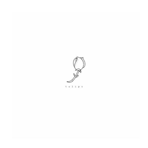 tulips cover art