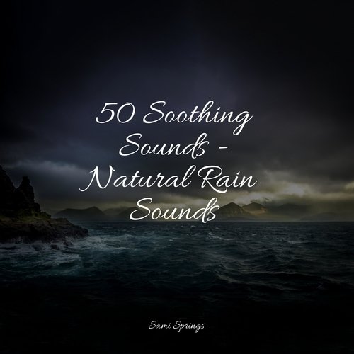 50 Soothing Sounds - Natural Rain Sounds_poster_image