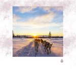 Aidez votre chien à se détendre! Routine matinale