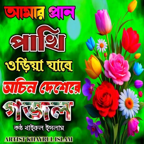 Amar Pran Pakhi Uriya Jabe Achin Deshere