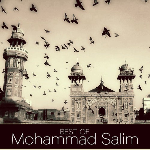 Best of Mohammad Salim_poster_image