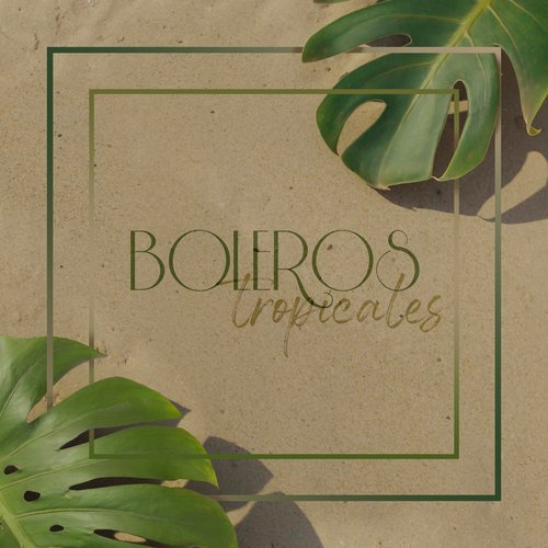 Boleros Tropicales