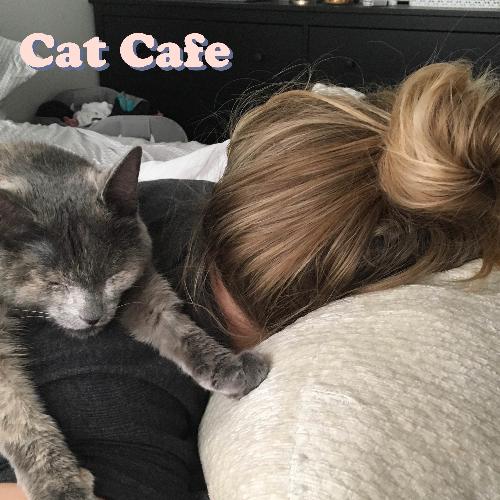 Cat Cafe_poster_image