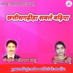 Chhattisgarhiya Sable Badhiya