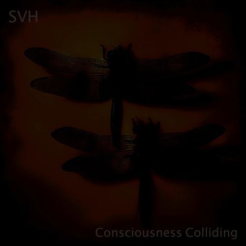 Consciousness Colliding_poster_image