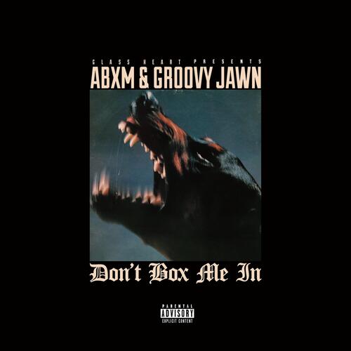 PYREX cover art