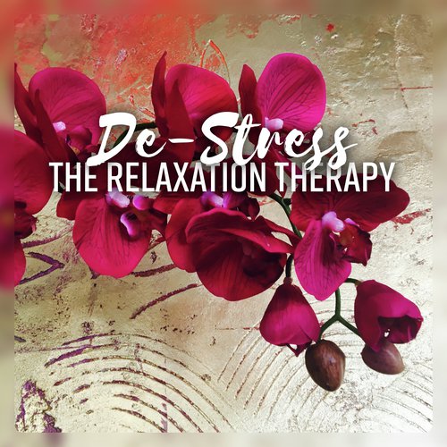 Beauty Spa cover art