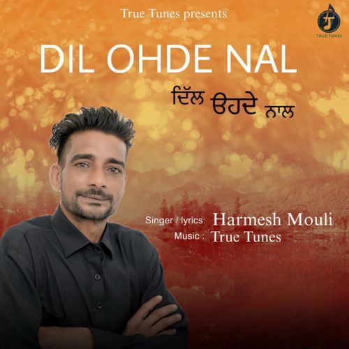 Dil Ohde Naal