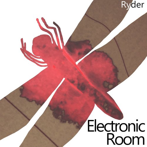 Electronic Room_poster_image