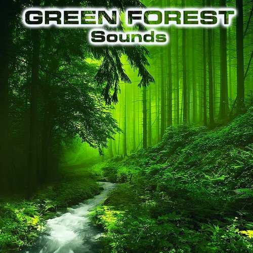 River in the Forest Sound (feat. River Sounds Atmosphere, Water Atmosphere Sounds, Water Healing FX, Water Sleep Sound, Water Sounds FX & Water White Noise) (Atmospheres Sounds Remix) cover art
