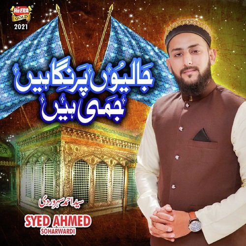 Stream Syed Ahmed Hussain music