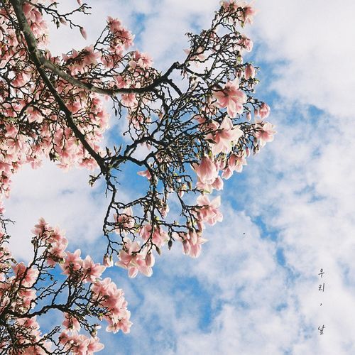 우리, 날