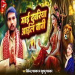 Mai Duwariya Aail Bani