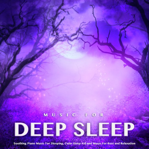 Music For Deep Sleep: Soothing Piano Music For Sleeping, Calm Sleep Aid and Music For Rest and Relaxation_poster_image