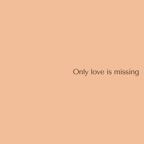 Only love is missing_poster_image