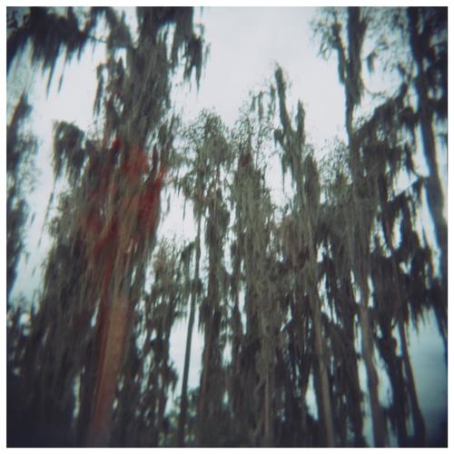 Arp Mx5 (Caged) cover art