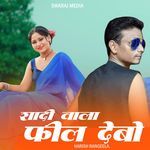 Shadi Wala Feel Debo Ge