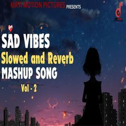 Slowed &amp; Reverb Sad Mashup Songs Vol 2-QVooAQRqAXY