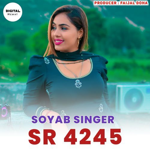 Soyab Singer SR 4245