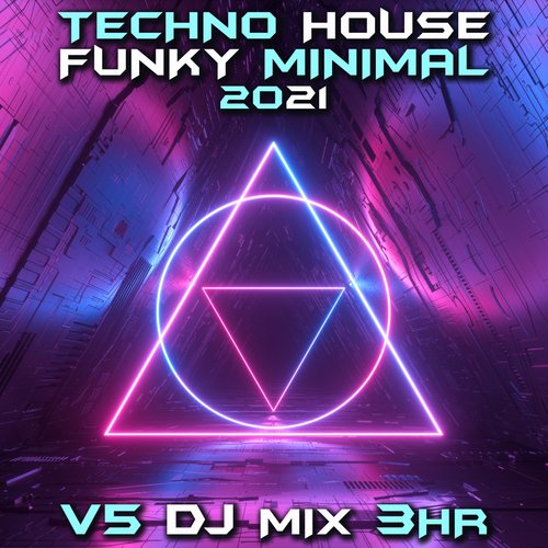 Red Maze (Techno House 2021 Mix) (Mixed)