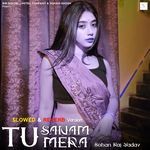 Tu Sanam Mera (Slowed &amp; Reverb Version)
