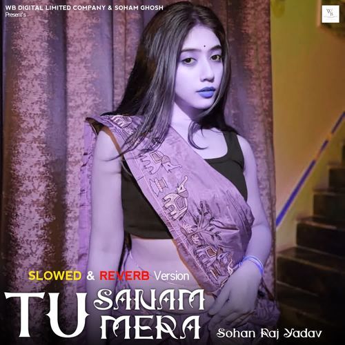 Tu Sanam Mera (Slowed & Reverb Version)