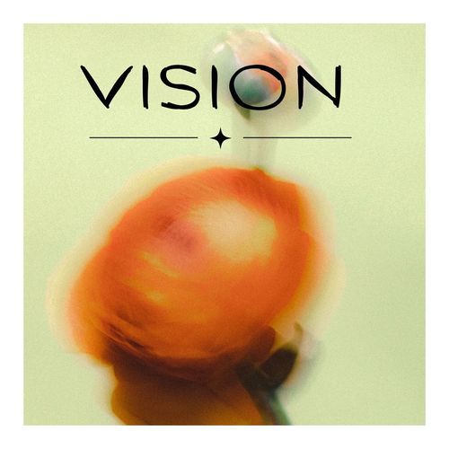 Vision