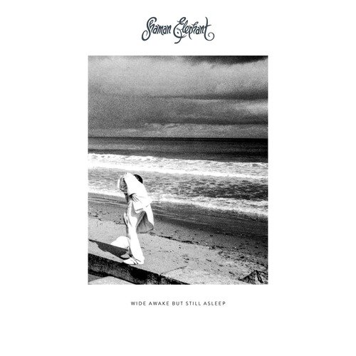 Steely Dan cover art