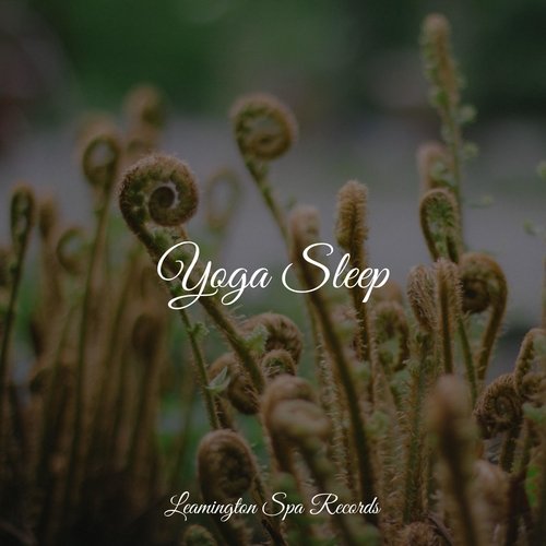 Yoga Sleep