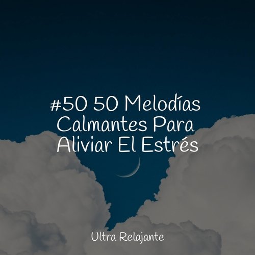 #50 50 Melodías Calmantes Para Aliviar El Estrés