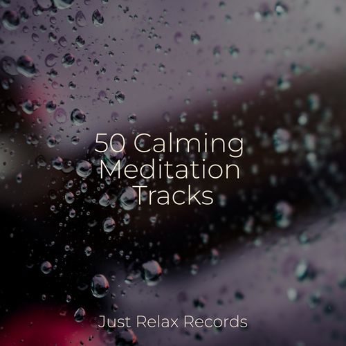 50 Calming Meditation Tracks_poster_image