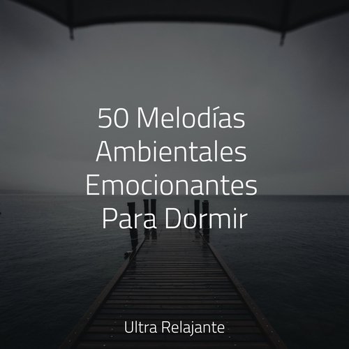 50 Melodías Ambientales Emocionantes Para Dormir