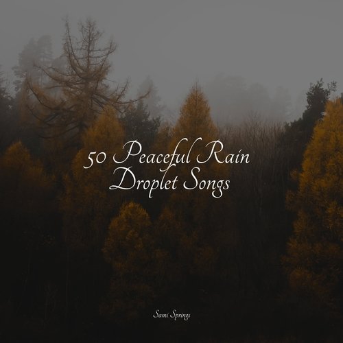 50 Peaceful Rain Droplet Songs_poster_image