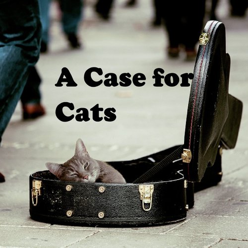 Separation Anxiety cover art