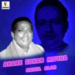 Ahare Sonar Moyna