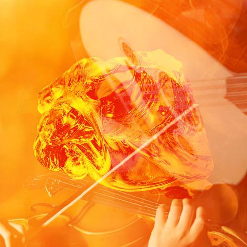 Amber Whispers