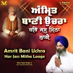 Amrit Bani Uchra Har Jass Mitha Laage