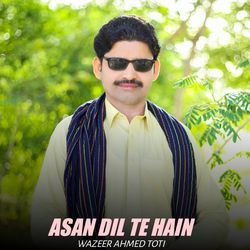 Asan Dil Te Hain-HTJbQjpxdAE