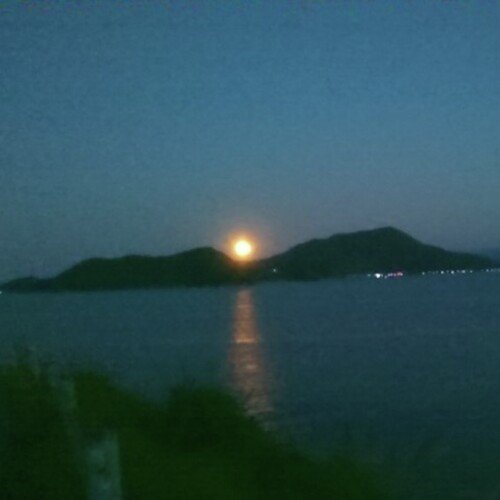 僕のBGM　リズム別作品集　⑬タンゴ