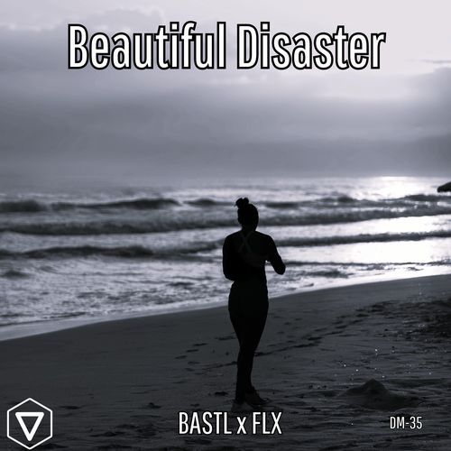 Beautiful Disaster