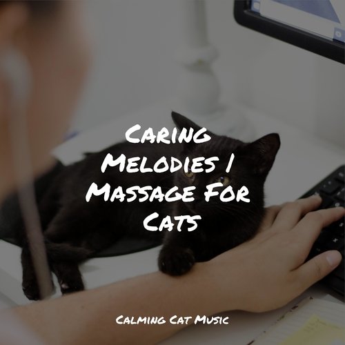 Music for Meditation cover art