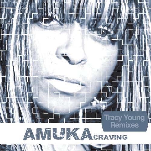 Craving (Tracy Young Remixes)_poster_image